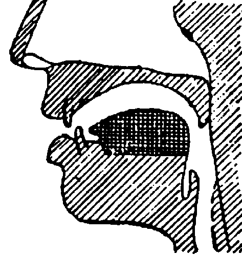 ris2.png