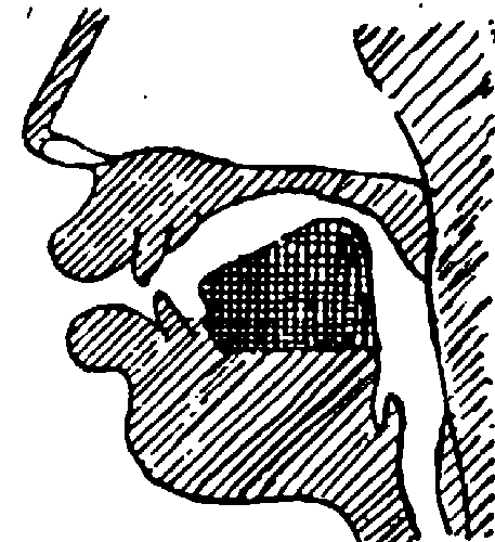 ris4.png