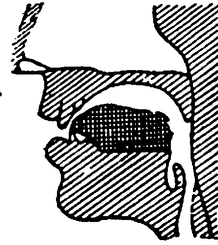 ris5.png